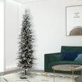 thumbnail image 6 of Vickerman 9' Frosted Glitter Tannenbaum Pine Artificial Christmas Tree, Unlit, 6 of 6