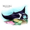 thumbnail image 3 of CafePress - Manta Ray Mug - 11 oz Ceramic Mug - Novelty Coffee Tea Cup, 3 of 6