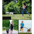 thumbnail image 3 of Training Dog Leash - Training Dog to Walk on a Leash, 3 of 10