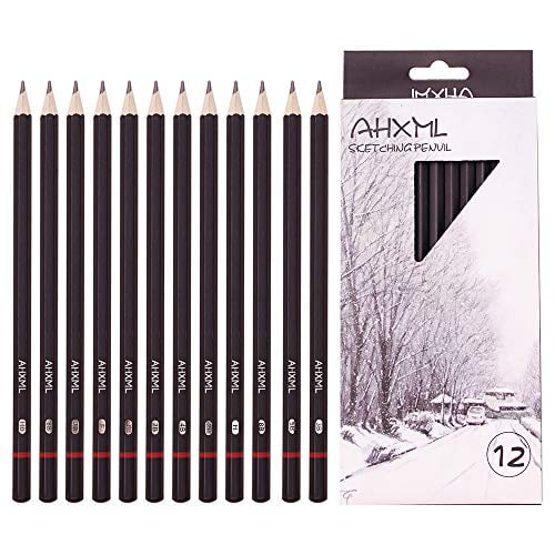 12-GRADED PENCILS DRAWING DRAW ART SKETCHING SHADES TONES ARTIST PICTURE PENCIL 