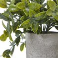 thumbnail image 2 of Hill Interiors Boîte Plante Artificielle, 2 of 3