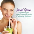 thumbnail image 3 of Garden of Life Raw Organic Perfect Food Alkalizer & Detoxifier, Lemon Ginger, 30 Servings, 3 of 8
