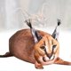 thumbnail image 2 of Cartoon Cat Plush Toy, Adorable and Soft, Lumbar Pillow, Ideal as a Gift for Kids and Fans, 2 of 3
