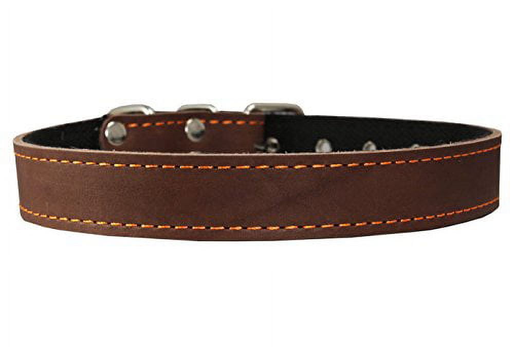 Genuine Leather Dog Collar, Cotton Padded, 1