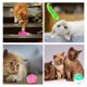 thumbnail image 5 of Juego de juguetes para gatos Juguete para gatos Ratón Pelota para gatos Variedad de juguetes, 5 of 6
