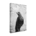 thumbnail image 2 of Trademark Fine Art 'B&W Flight III' Canvas Art by Ingrid Blixt, 2 of 4