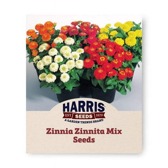 Harris Seeds - Zinnia Zinnita Mix Seeds - Double Flowers - 250 Seeds