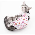 thumbnail image 1 of Traje de recuperación para gatos con heridas abdominales o enfermedades de la piel, para después de una cirugía, para evitar lamidos en las heridas, collar isabelino transpirable, 1 of 7