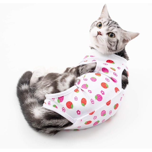 Traje de recuperación para gatos con heridas abdominales o enfermedades de la piel, para después de una cirugía, para evitar lamidos en las heridas, collar isabelino transpirable