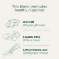 thumbnail image 6 of Traditional Medicinals Lemon Ginger Herbal Tea Bags, Caffeine-Free, 16 Count, 6 of 14