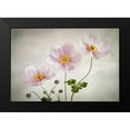 thumbnail image 2 of Disher, Mandy 24x18 Black Modern Framed Museum Art Print Titled - Anemones, 2 of 5