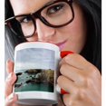 thumbnail image 2 of 3drose, California, Mendocino Headlands State Park - Us05 Wbi1480 - Walter Bibikow, 15oz Two-tone Red Mug, 2 of 6