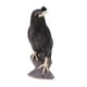 thumbnail image 2 of Juguete de de Simulación Modelo de Aves Negro Conoscitivo de Aprendizaje de Ciencia para Niños, 2 of 9