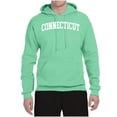 thumbnail image 2 of Wild Bobby State of Connecticut College Style Unisex Hoodie Sweatshirt, 2 of 6