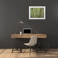 thumbnail image 3 of Fitzharris, Tim 14x12 White Modern Wood Framed Museum Art Print Titled - Aspen Grove III, 3 of 4