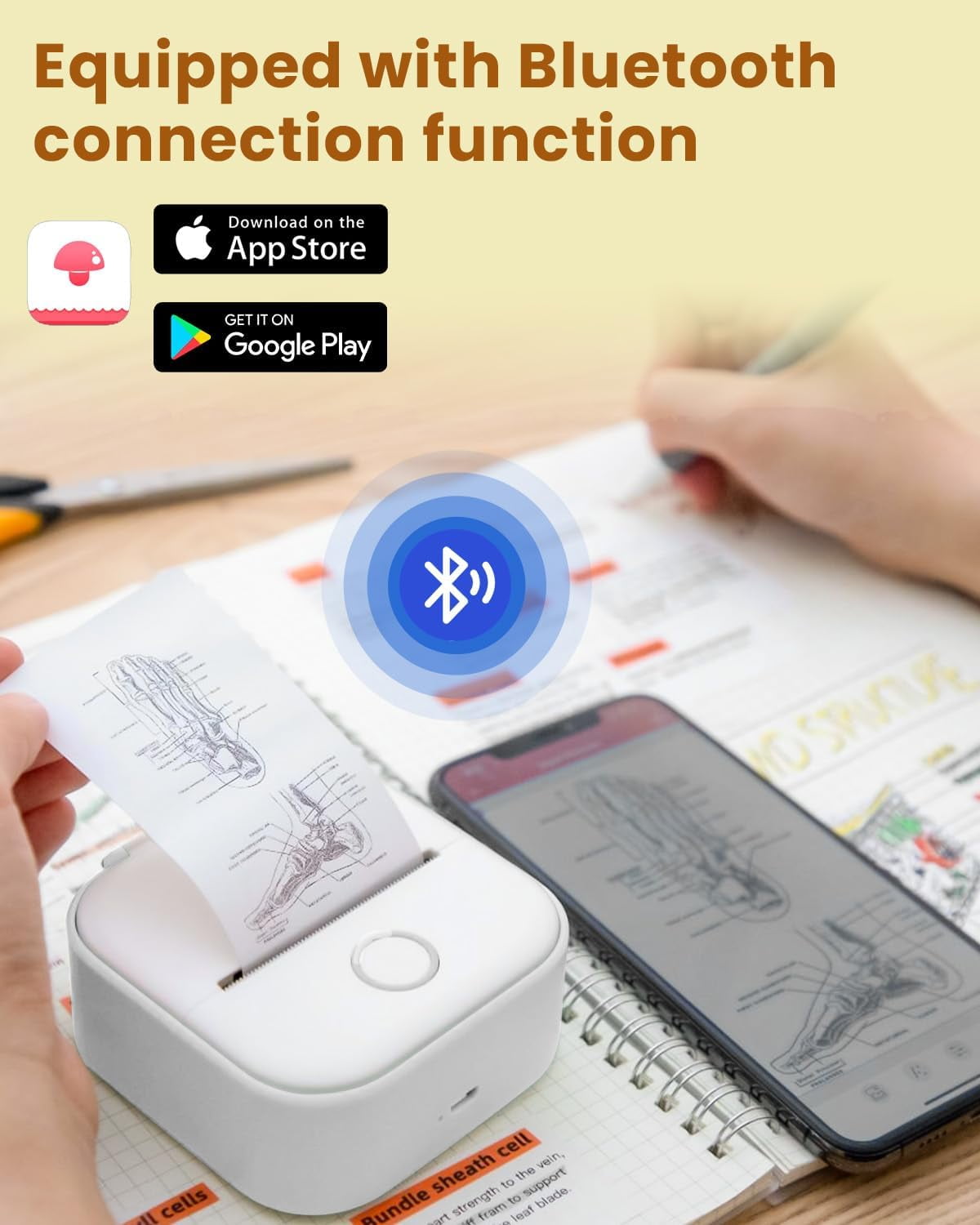 Phomemo T02 Portable Label Maker, Mini Sticker Printer, Bluetooth Inkless Sticker Maker Machine, Mobile Printer for Study Notes, Kids Gift, Photos, Journals, To-dos (White)