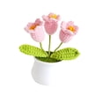 thumbnail image 4 of Abbracc Crochet Flower Mini Potted Artificial Plants for Car Dashboard Desktop Shelf Style E, 4 of 9