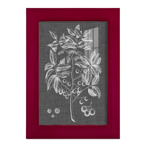 Graphic Foliage VI - Framed Print w/glass - Cherry Red