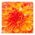 thumbnail image 2 of Bouquet de temporada premium, 2 of 4