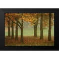 thumbnail image 2 of Geyman, Vitaly 24x17 Black Modern Framed Museum Art Print Titled - Colors in the Mist VII, 2 of 5