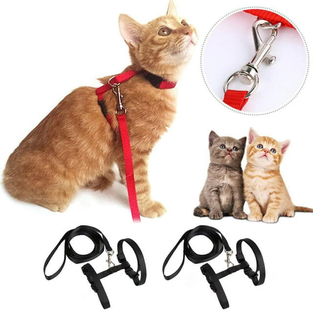 2 Ensembles de Laisses pour Animaux Harnais Ajustables Sangle en Nylon Robuste Laisses pour Chat avec Harnais pour la Marche