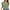 Green, variant on Womens Casual Solid Color Round Neck Short Sleeve Loose Tops Blouses