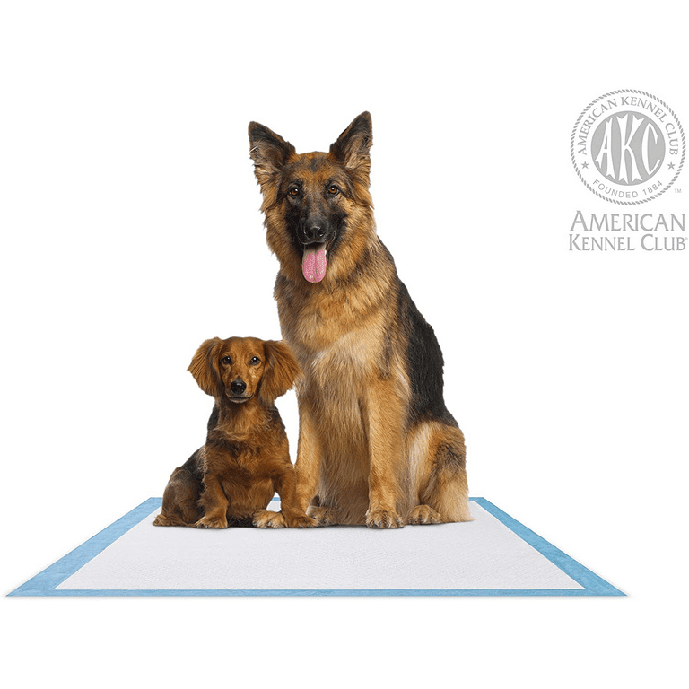 American Kennel Club Pet Training and Puppy Pads Regular and