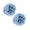Blue, variant on 2 Packs 0.02lb Preserved Natural Dry Moss, Dried Dyed Moss for Floral Arrangements Terrariums Wreaths DIY Crafts, Gray Moss for Table Centerpieces Vase Fillers and Home Decor, By Harlik