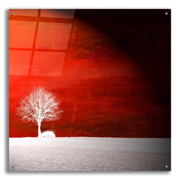 Epic Art 'Sensation' by Philippe Sainte-Laudy, Acrylic Glass Wall Art, 36"x36"