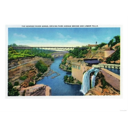 Rochester, NY - Genesee River Gorge, Park Avenue Bridge, Lower Falls View Print Wall Art By Lantern (Best State Parks In Ny)