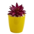 thumbnail image 3 of Nearly Natural Plastic Red 9" Mixed Succulent Artificial Plant in Yellow Vase (Set of 3), 3 of 4