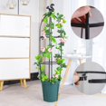 thumbnail image 2 of Soporte de escalada de plantas duraderas, soporte de plástico de flores estable para jardín y patio trasero, 2 of 4