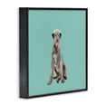 thumbnail image 3 of Stupell Industries Eclectic Regal Dog in Crown Black Framed Giclee Art, 24 x 24, by Amelia Noyes, 3 of 8