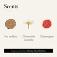 thumbnail image 2 of Candle LAFCO New York Discovery Trio, manzanilla, lavanda, champán y fuego de madera, 2 of 5