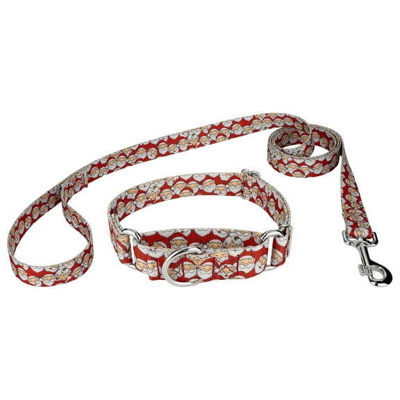 Country Brook Petz® Where's Merry Martingale Dog Collar and Leash, 2XS