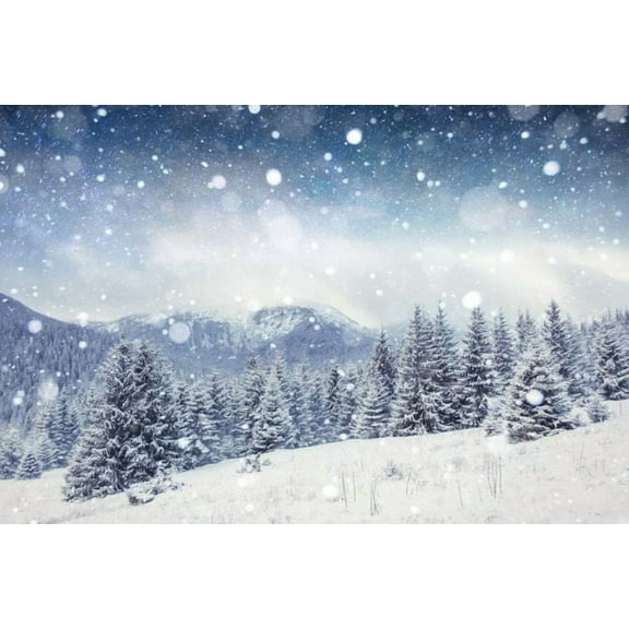 Snowy Winter Night Mountain Forest Starry Sky Pine Trees Photo Cool Poster Size 24''x36''-Gategoo