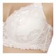 thumbnail image 3 of Brasier Vicky Form 20633, 3 of 3