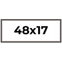 48x17 Frame Silver Real Wood Picture Frame Width 1.25 Inches | Interior Frame Depth 0.75 Inches |