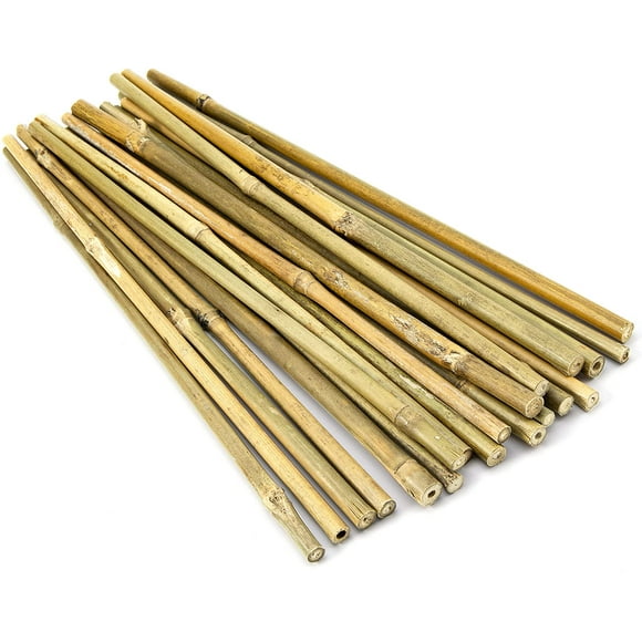 ORUYROP 20pcs 12 Inch Plant Stakes, Garden Stakes, Bamboo Stakes, Plant Support Stakes for Indoor Plants, Tomato Stakes
