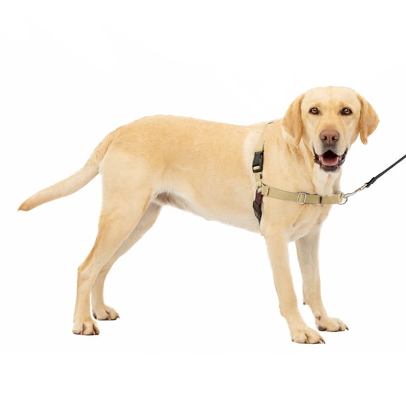 PetSafe Easy Walk Dog Harness, No Pull Leash, prevents from Choking on Walks, Fawn, L