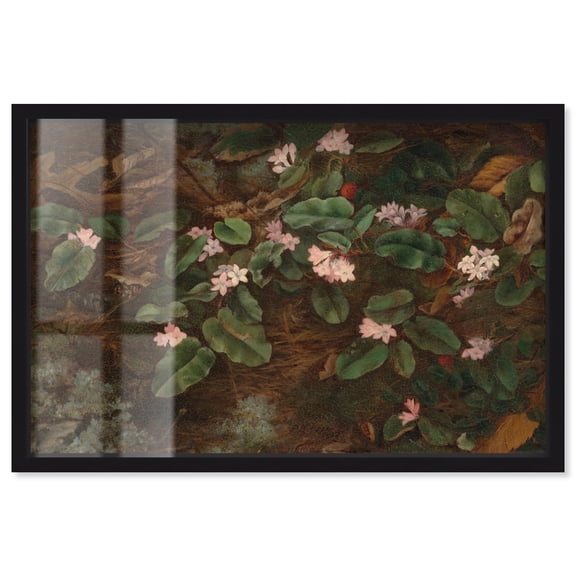 Vision of the Forest Floor Shadowbox Print Vintage Decor by Art Remedy, Black Frame, 15 x 10