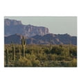thumbnail image 1 of Saguaro Cutting Board, Arizona Desert Landscape with Cactus Mountain in Spring Evening Wilderness Picture, Decorative Tempered Glass Cutting and Serving Board, Small Size, Brown Green, by Ambesonne, 1 of 1