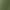 Army Green, variant on ZyeKqe Yoga Leggings for Women Low Waist Slim Solid Color Pants Casual Workout Butt Lifting Leggings Trousers