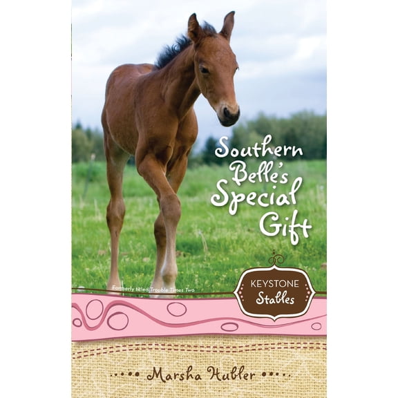 Pre-Owned Southern Belle's Special Gift: 3 (Paperback) 0310717949 9780310717942