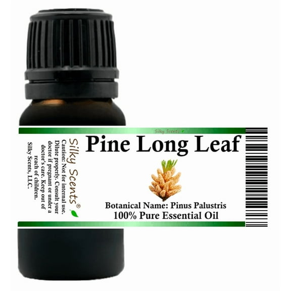 Pine Long Leaf Essential Oil 5 ml (1/6 fl oz) - 100% Pure and Natural by Silky Scents