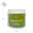 thumbnail image 2 of Vela Mainstays Esencia de Bosque 240 G, 2 of 4