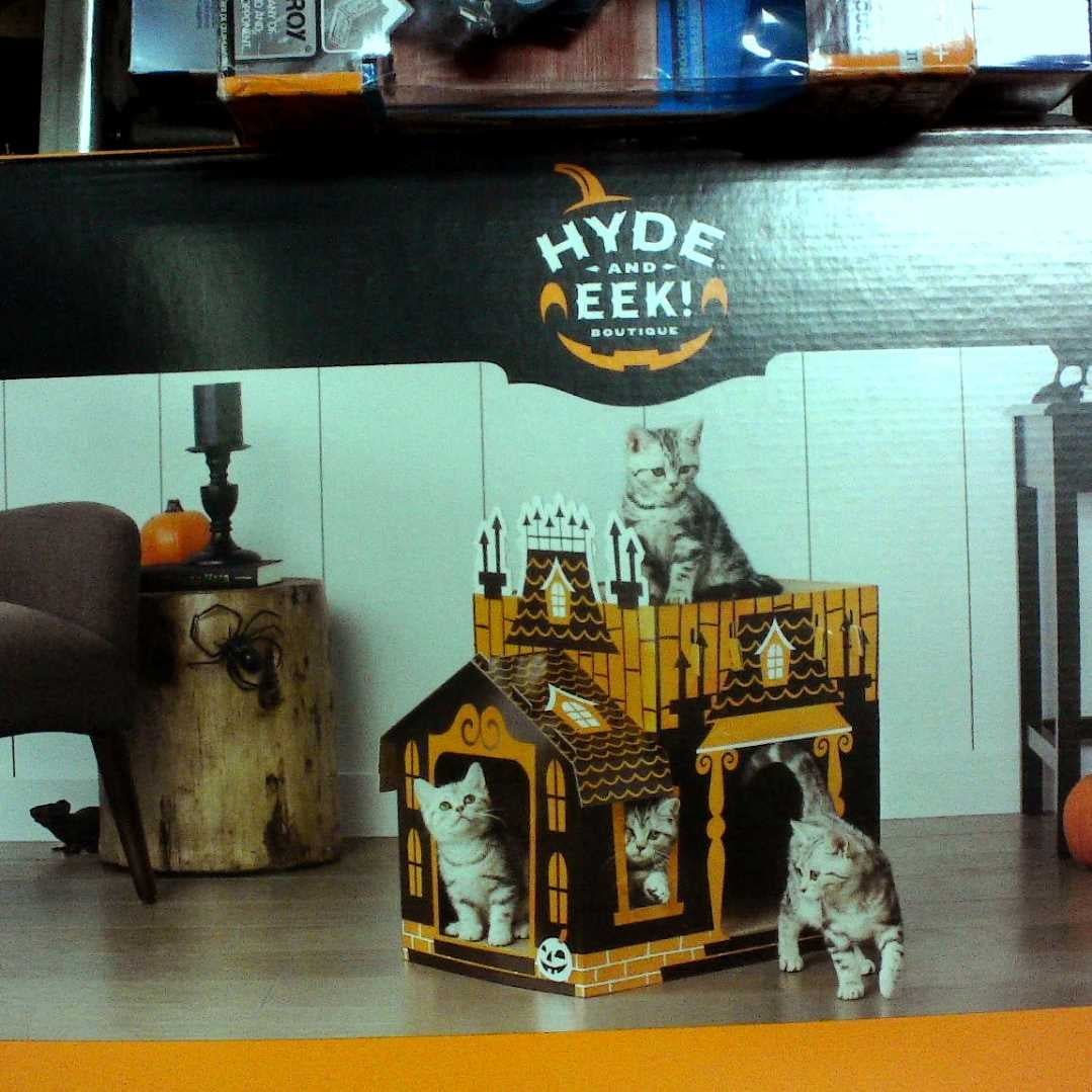 hyde and eek boutique cat scratcher
