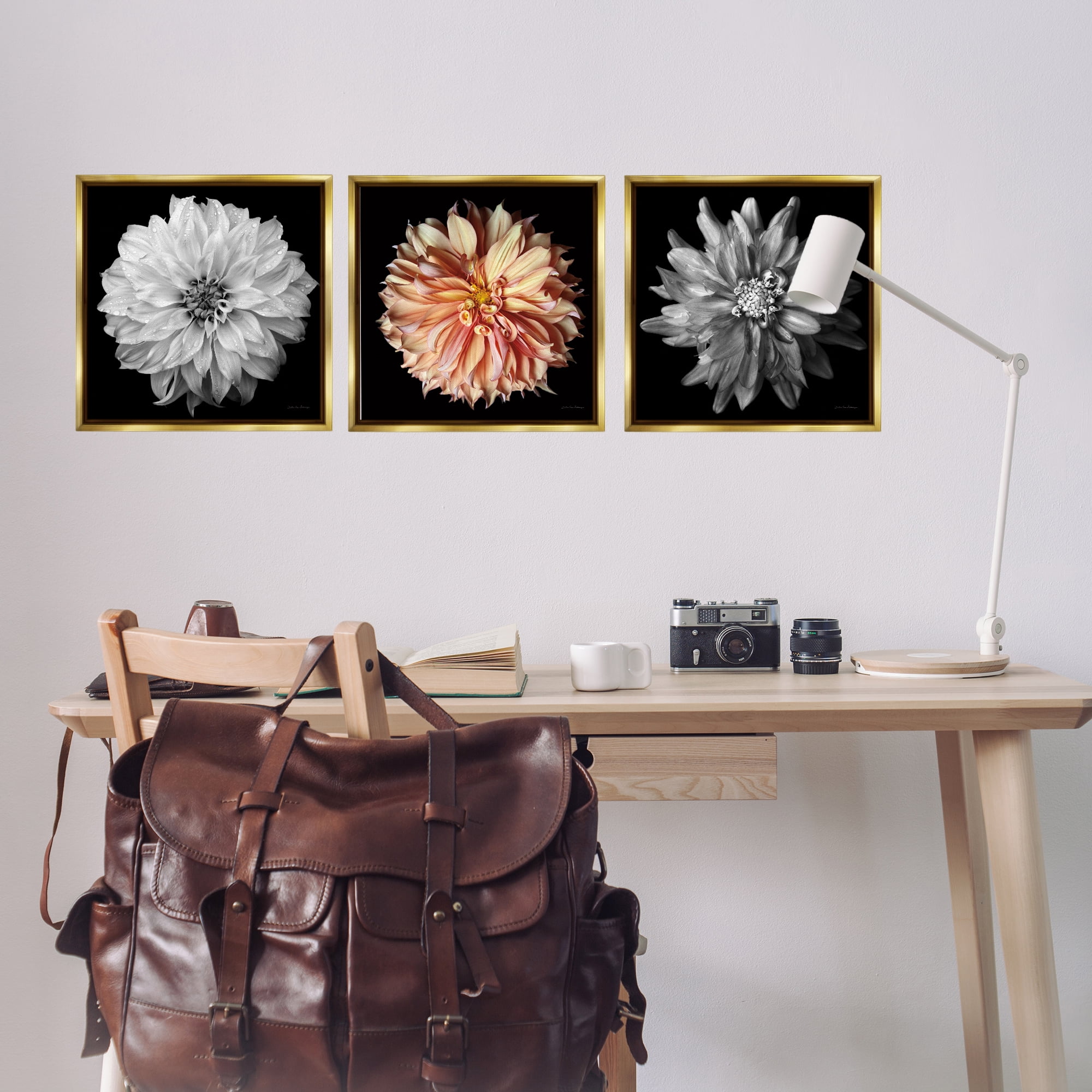 Stupell Industries Detailed Dahlia Photography Plants & Flowers Photography Gold Floater Framed Canvas Art Print Wall Art, 18 x 18, Set of 3