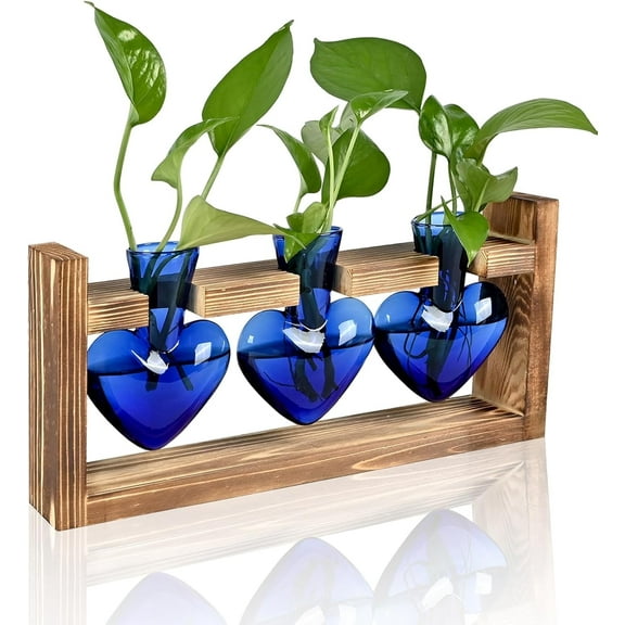 Plant Terrarium Propagation Stations with Wooden Stand Heart Shaped Colored Glass Vase