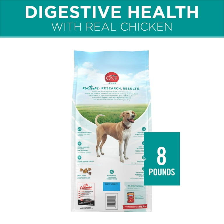 Purina ONE Plus Digestive Health Dry Dog Food for Adults High Protein Chicken 8 lb Bag